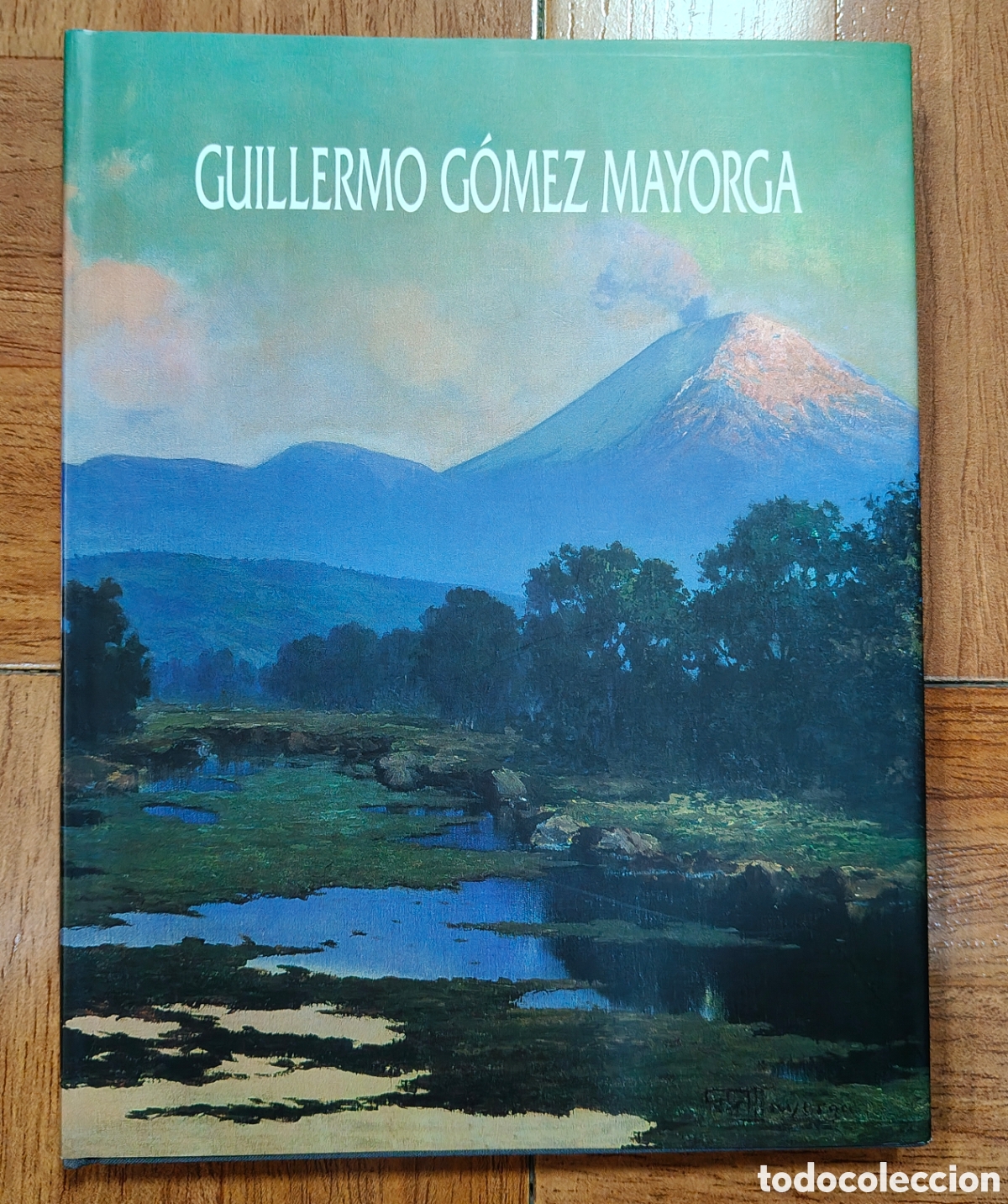 Libros: Guillermo G&oacute;mez Mayorga � Pintura � M&eacute;xico - VV. AA. - Foto 2