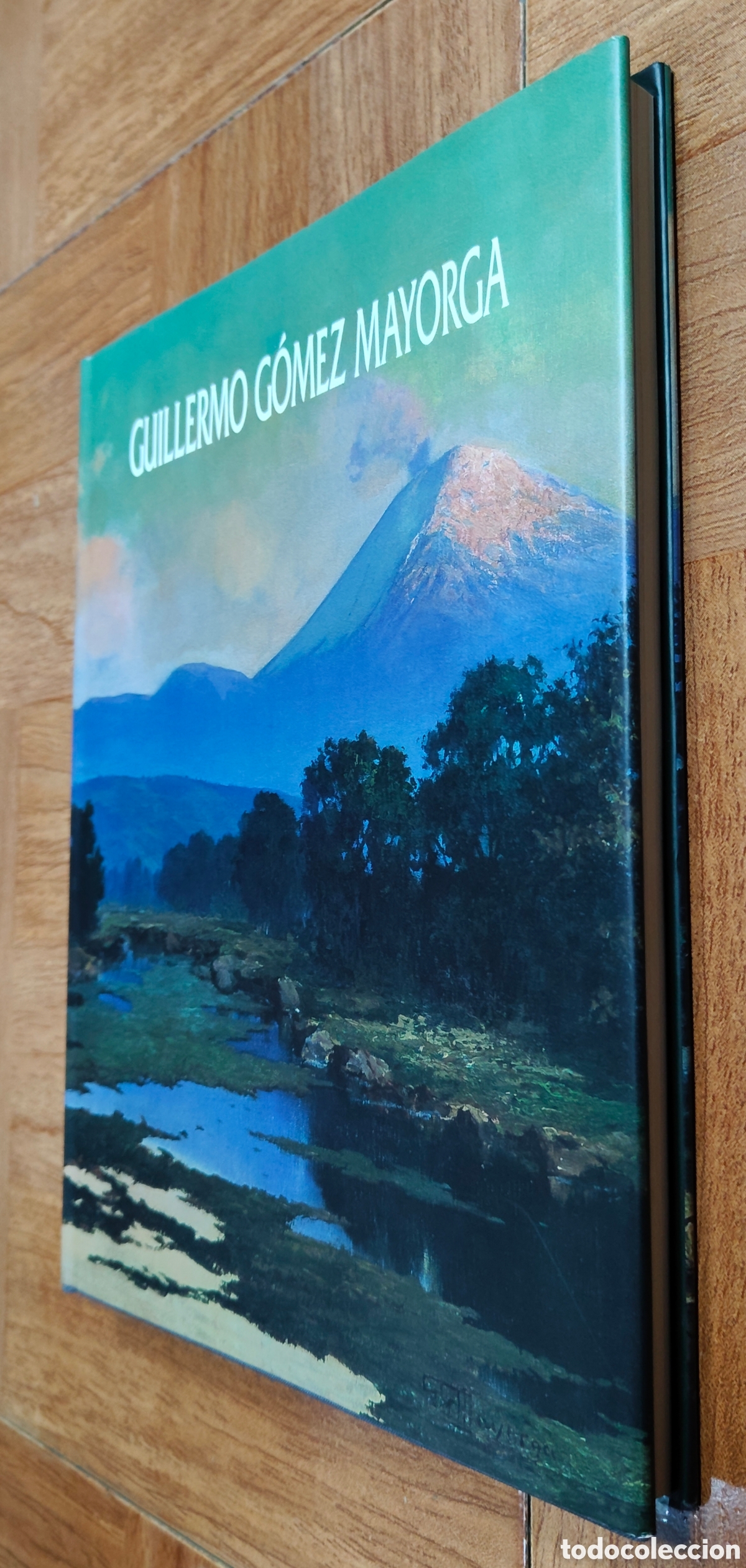 Libros: Guillermo G&oacute;mez Mayorga � Pintura � M&eacute;xico - VV. AA. - Foto 3