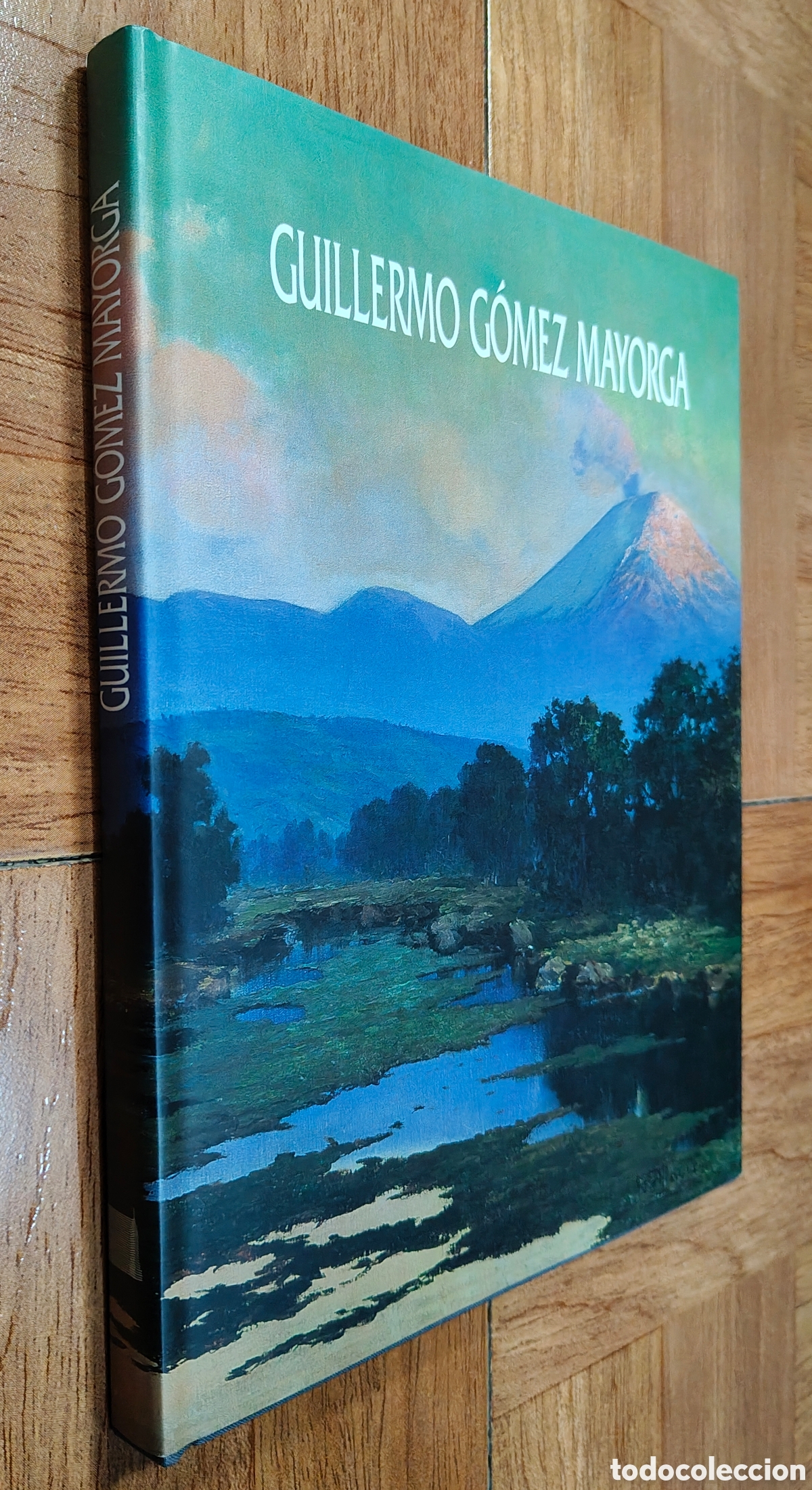 Libros: Guillermo G&oacute;mez Mayorga � Pintura � M&eacute;xico - VV. AA. - Foto 1