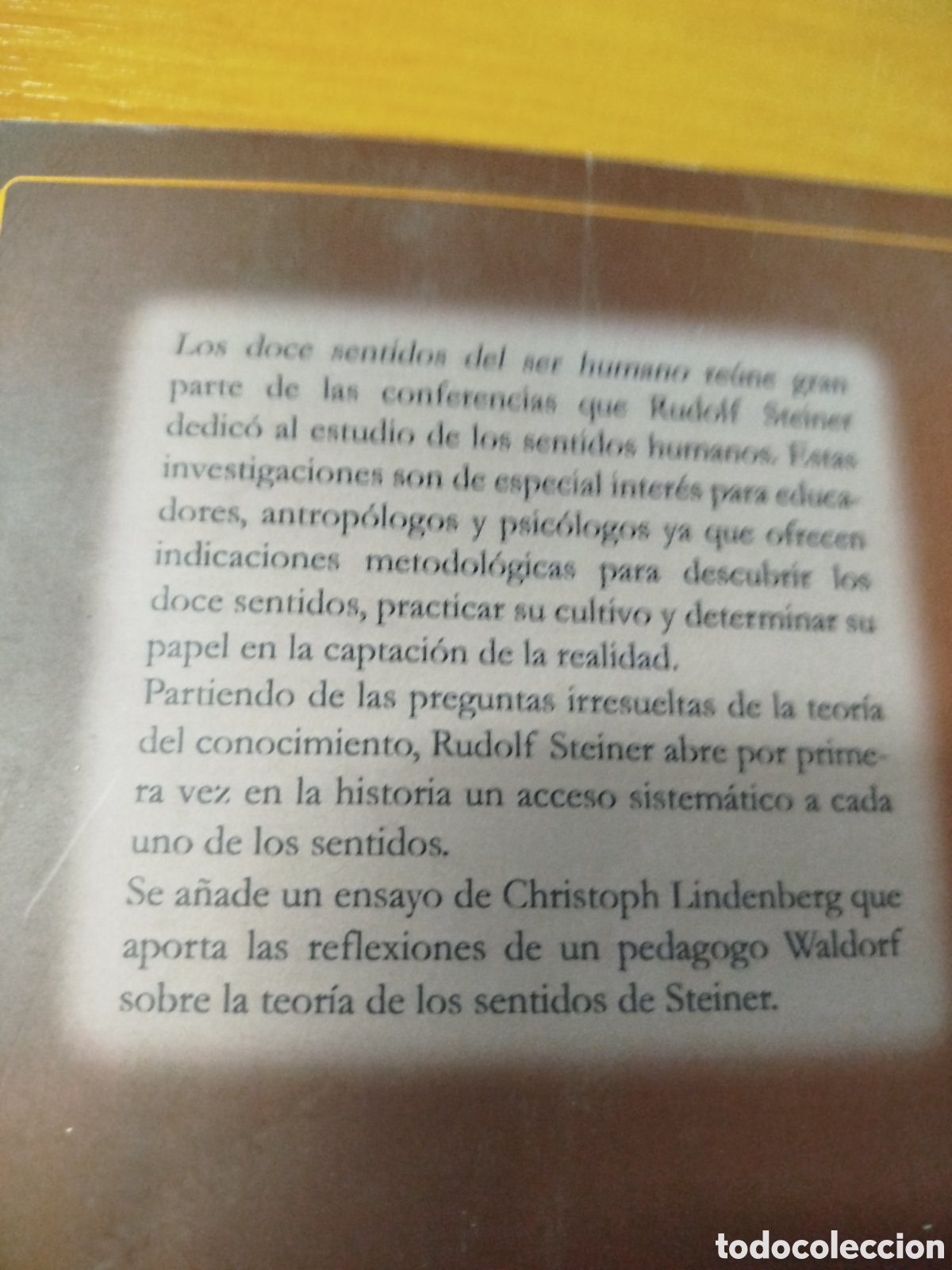 Libros: Los doce sentidos del ser humano. Rudolf steiner. - Foto 2