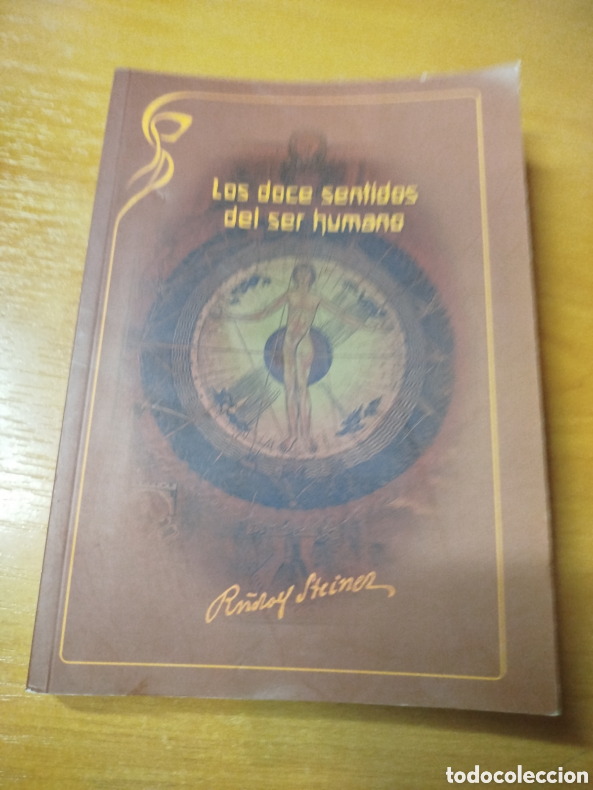 Libros: Los doce sentidos del ser humano. Rudolf steiner. - Foto 1
