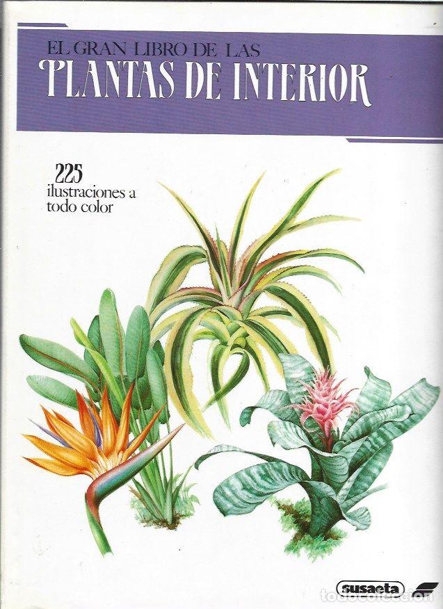 Libros: GRAN LIBRO DE LAS PLANTAS DE INTERIOR - EL - HAAGER, JIRI - Foto 1