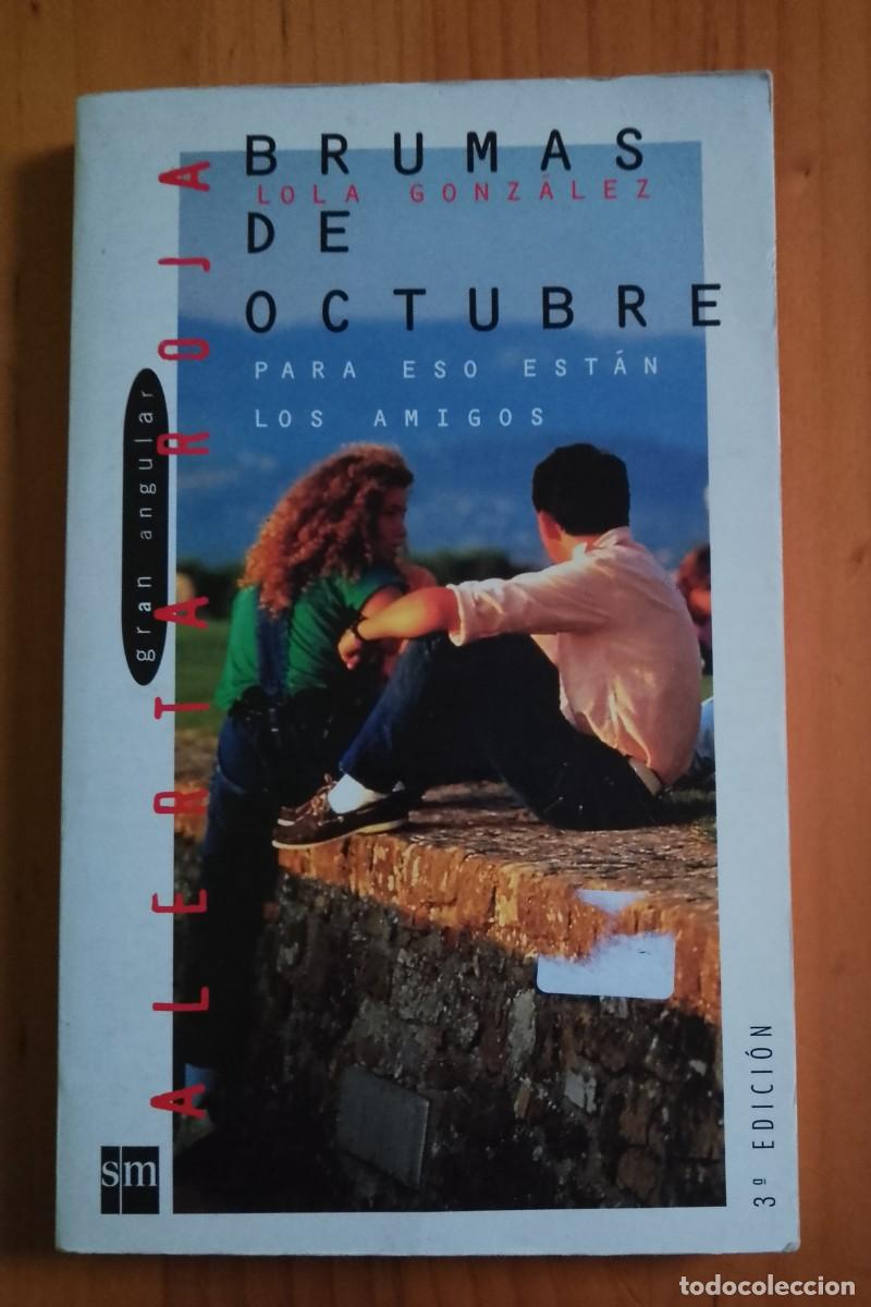 Libros: BRUMAS DE OCTUBRE - LOLA GONZALEZ - EN ESTADO IMPECABLE. - Foto 1