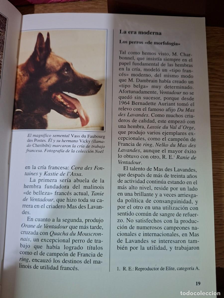 Libros: PERROS DE RAZA - EL MALINOIS - CLAIRE DUPUIS - Foto 2