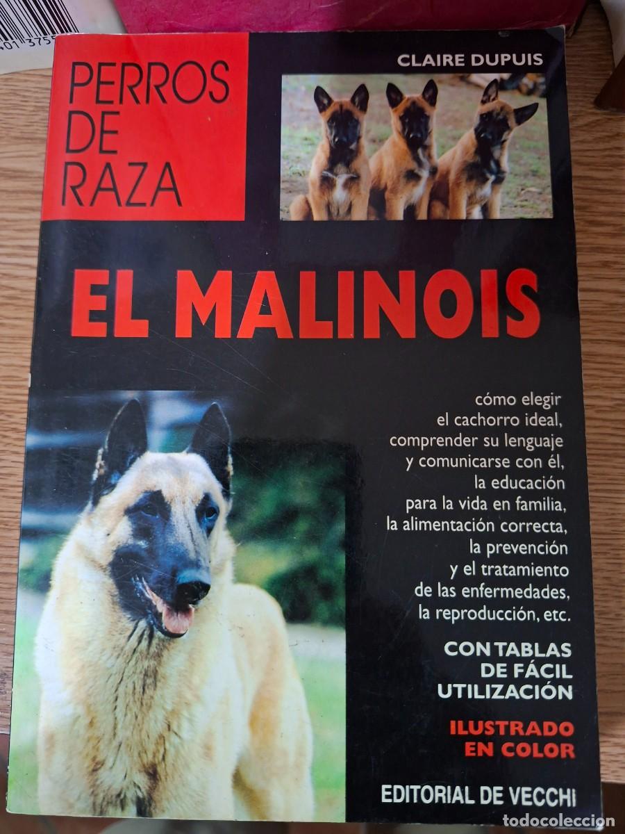Libros: PERROS DE RAZA - EL MALINOIS - CLAIRE DUPUIS - Foto 4