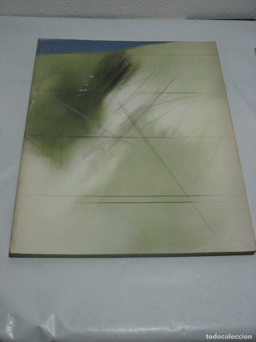 Libros: FERNANDO ZOBEL. Cat&aacute;logo exposici&oacute;n - Foto 1