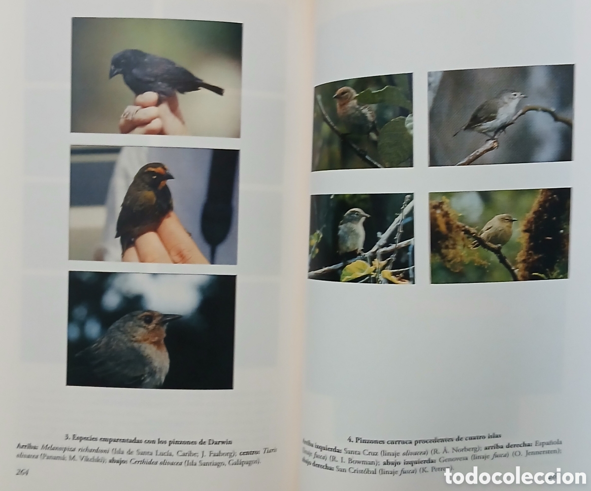 Libros: Como y porqu&eacute; se multiplican las especies. - Foto 6