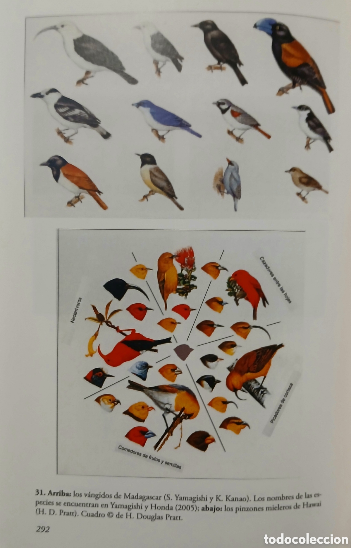 Libros: Como y porqu&eacute; se multiplican las especies. - Foto 7