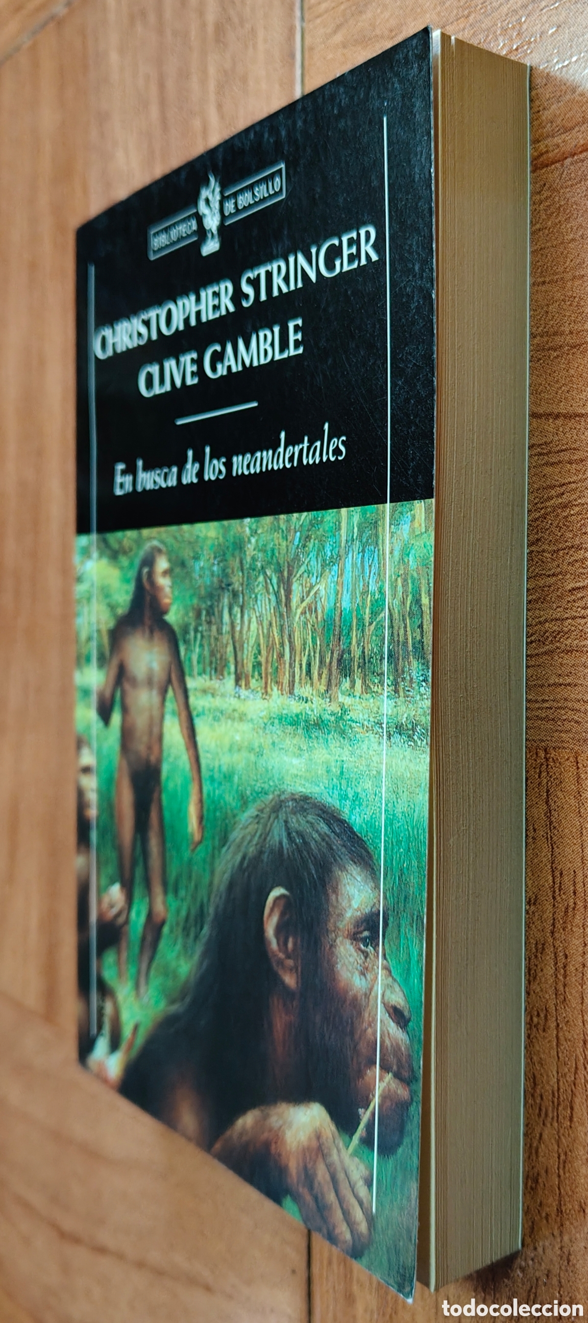 Libros: En busca de los Neandertales � Cr&iacute;tica - Christopher Stringer / Clive Gamble - Foto 2