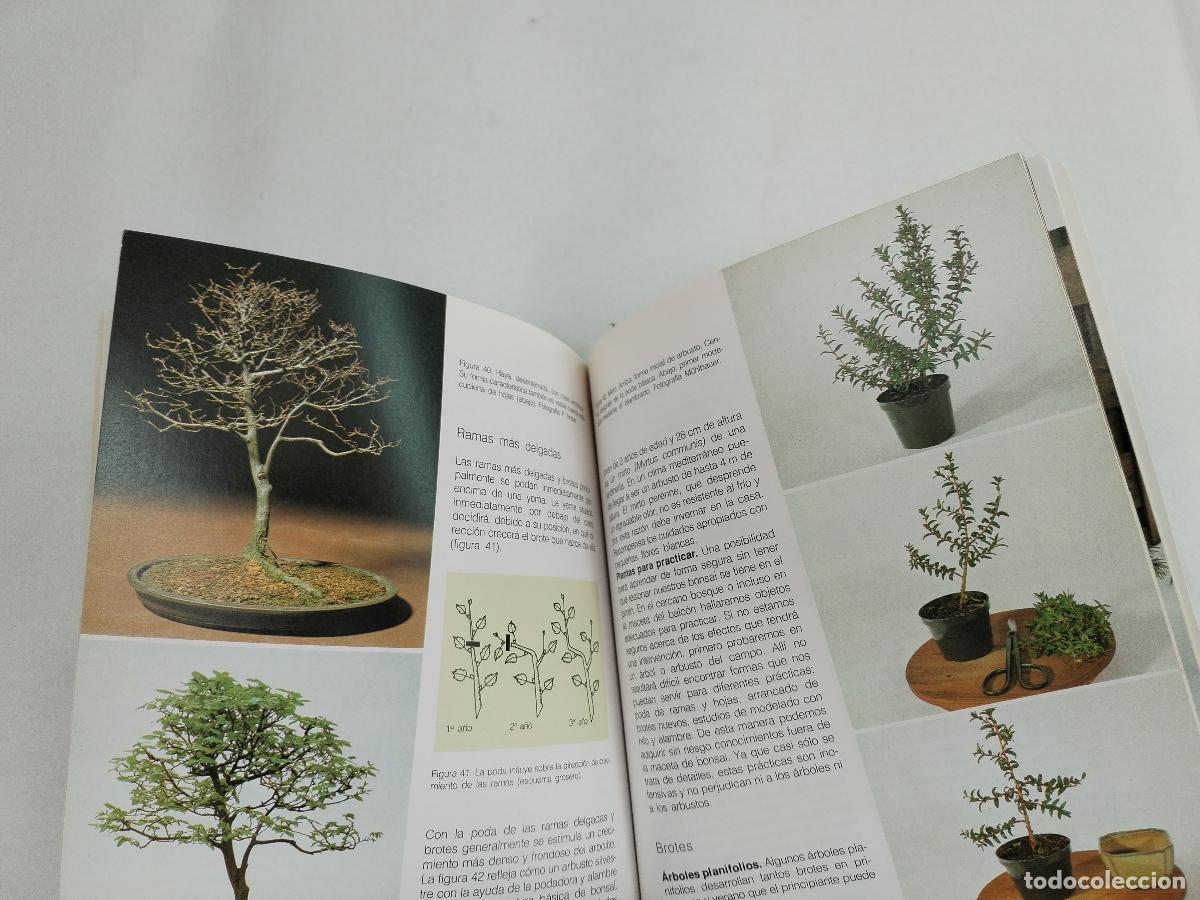 Libros: bonsai, hermann metz, manual basico - c179 - Foto 4