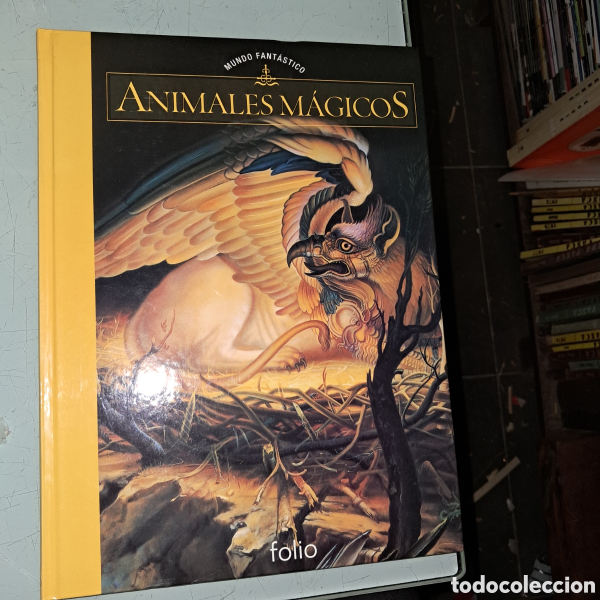 Libros: Animales m&aacute;gicos, Folio - Foto 1