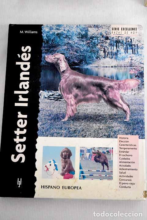 Libros: Setter irland&eacute;s: Williams, Margaret.- Williams, Margaret - Foto 1