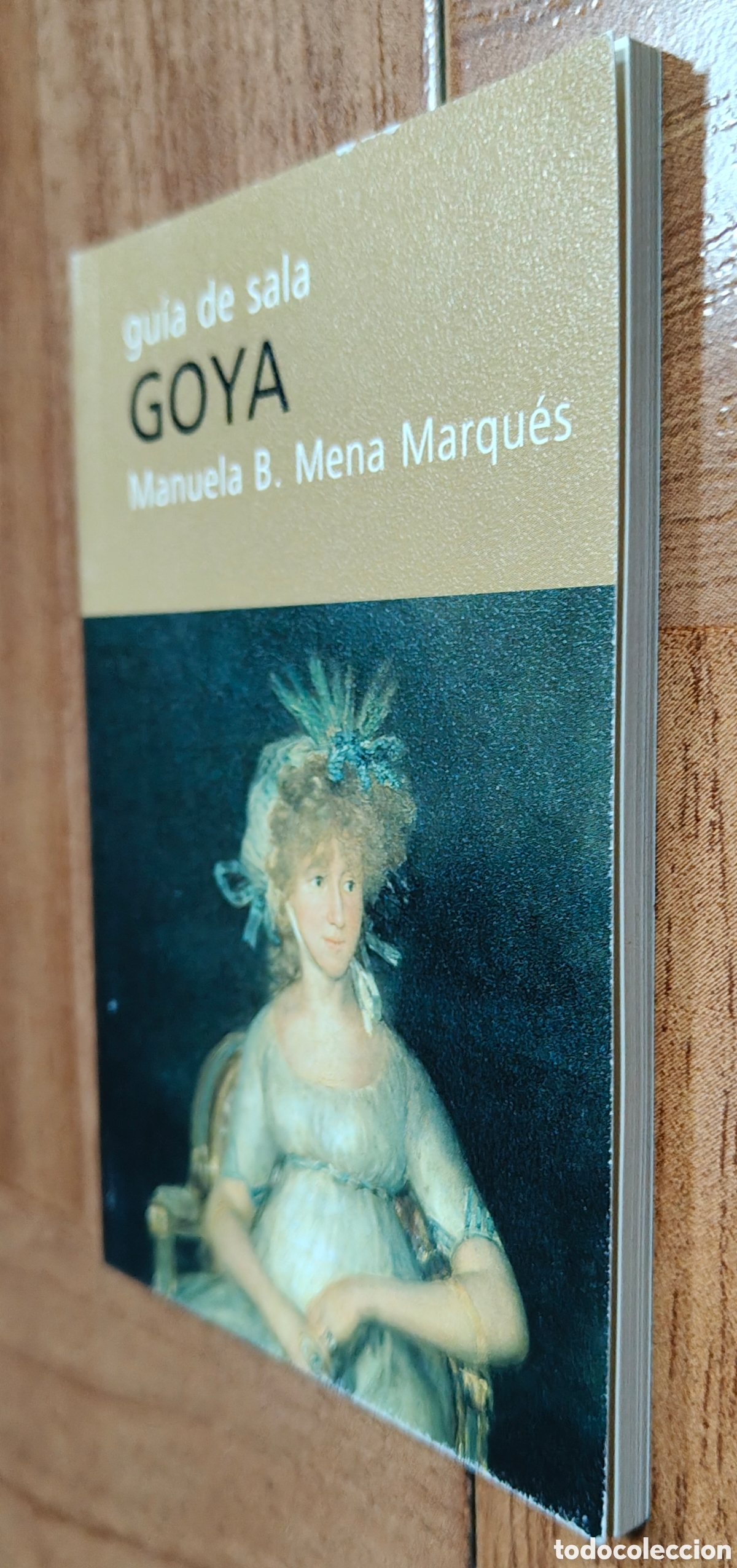 Libros: Gu&iacute;a de Sala: Goya - Manuela B. Mena Marqu&eacute;s - Foto 2
