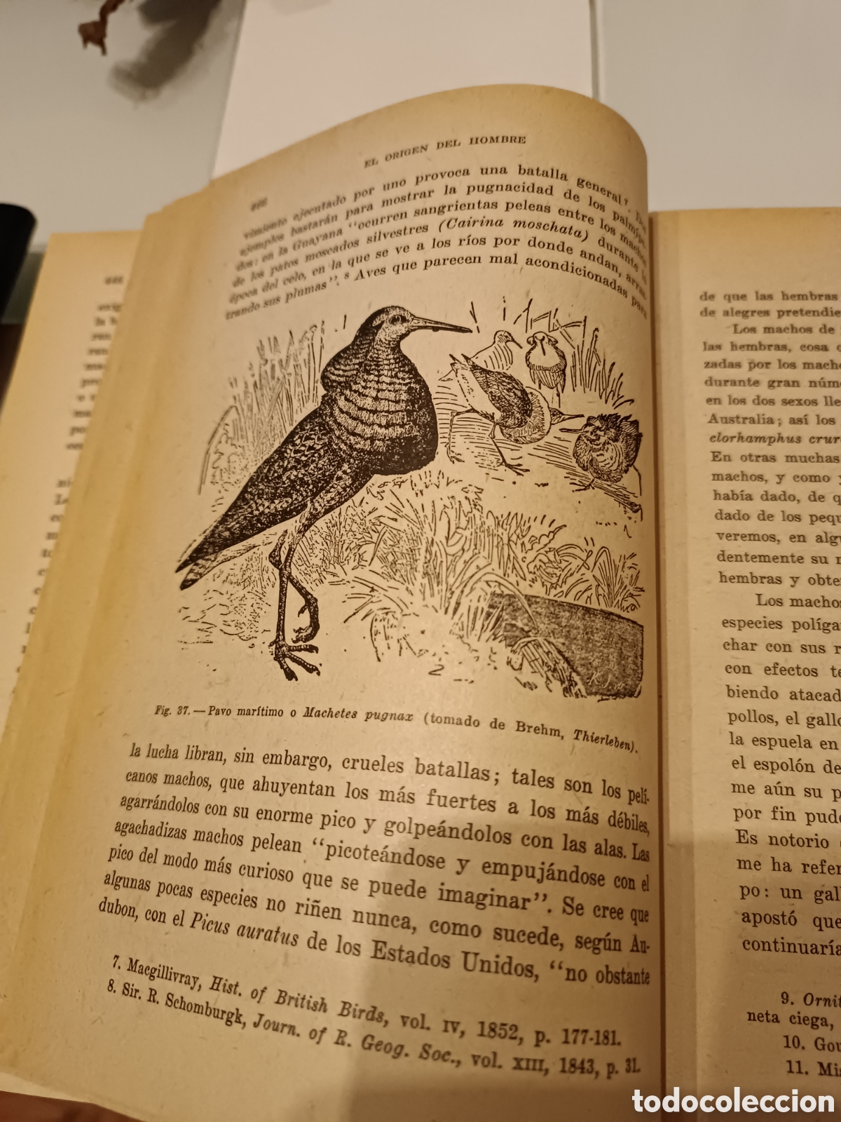 Libros: Libro: el origen del hombre - Foto 5
