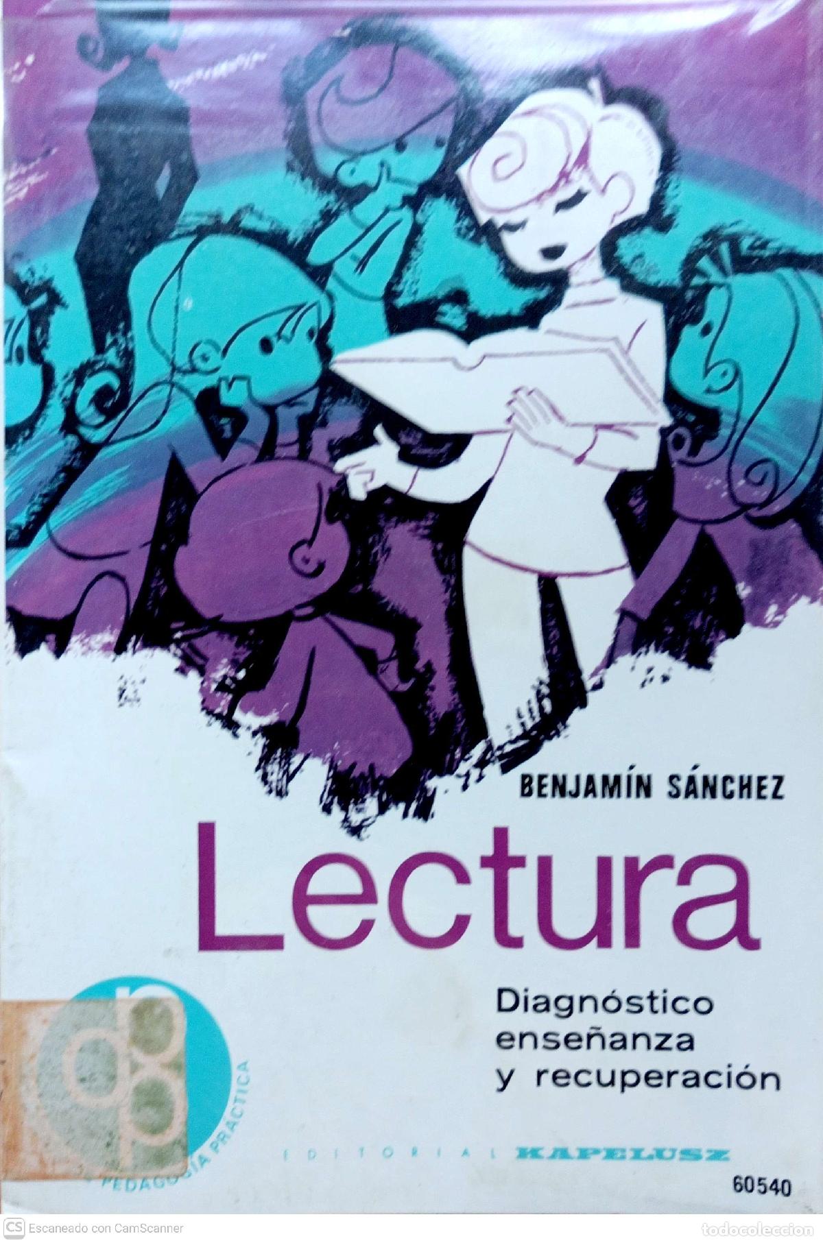 Libros: Lectura - Benjam&iacute;n S&aacute;nchez - Foto 1