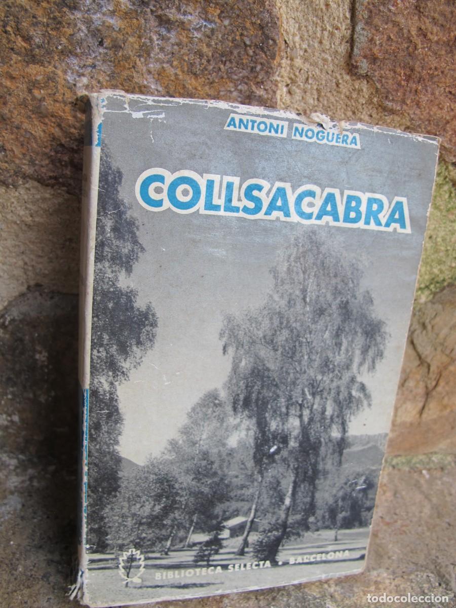 Libros: COLLSACABRA. ANTONI NOGUERA. BIBLIOTECA SELECTA - Foto 1