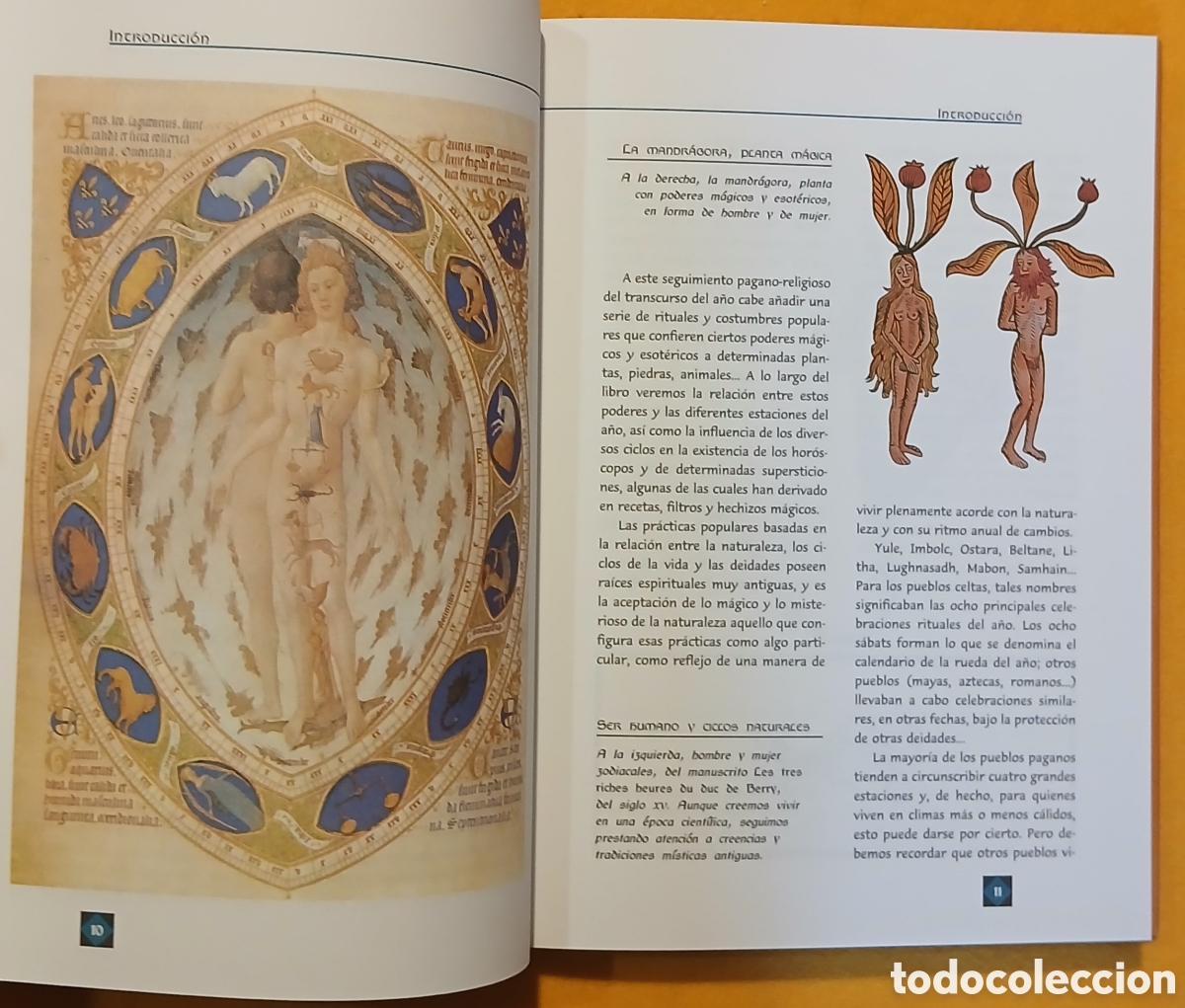 Libros: El libro de las tradiciones - Foto 7