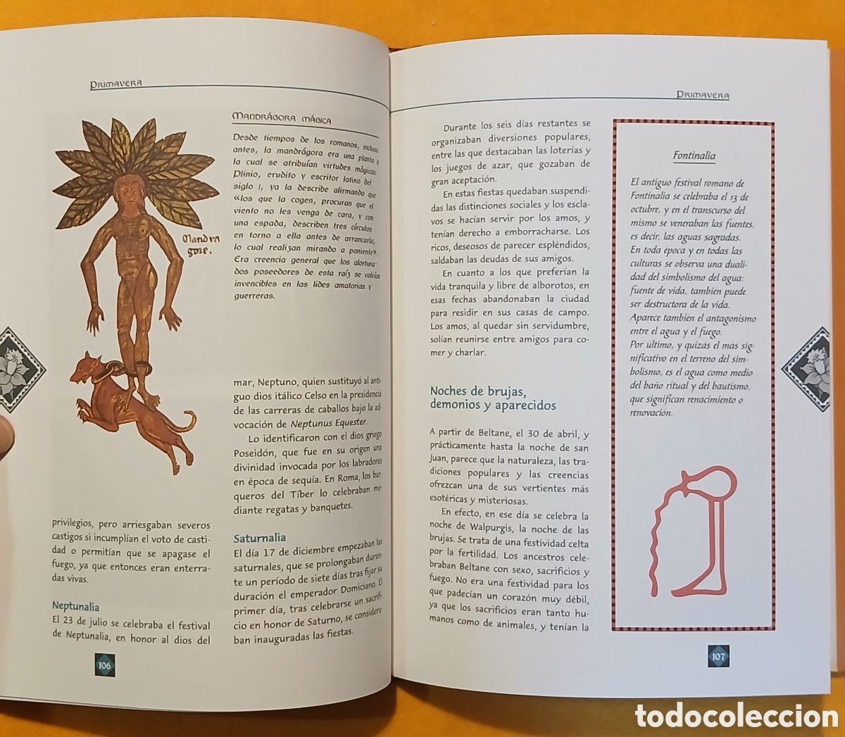Libros: El libro de las tradiciones - Foto 11