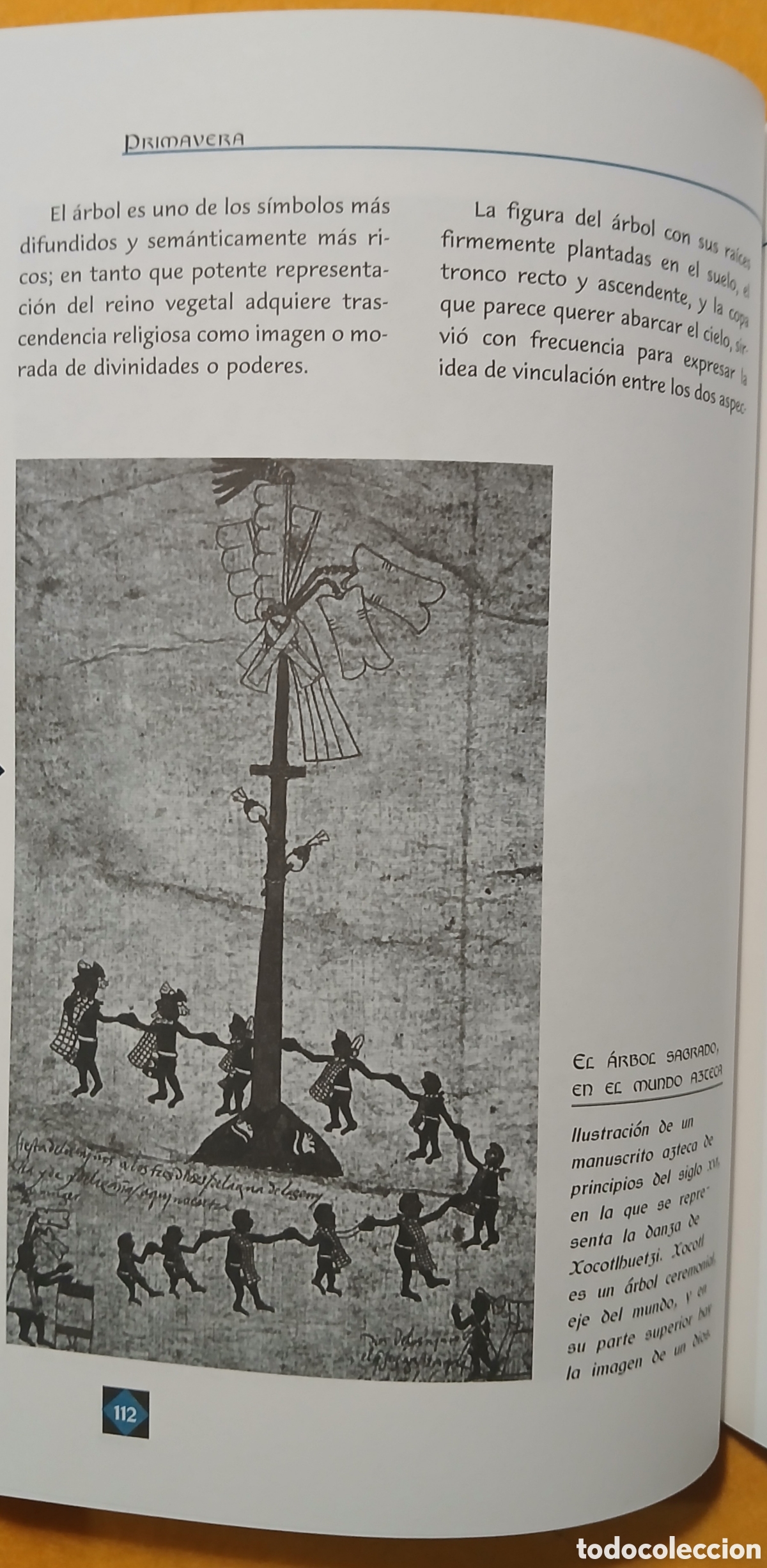 Libros: El libro de las tradiciones - Foto 12