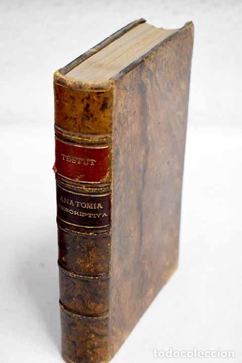 Libros: Compendio de anatom&iacute;a descriptiva.- Testut, Leo - Foto 1