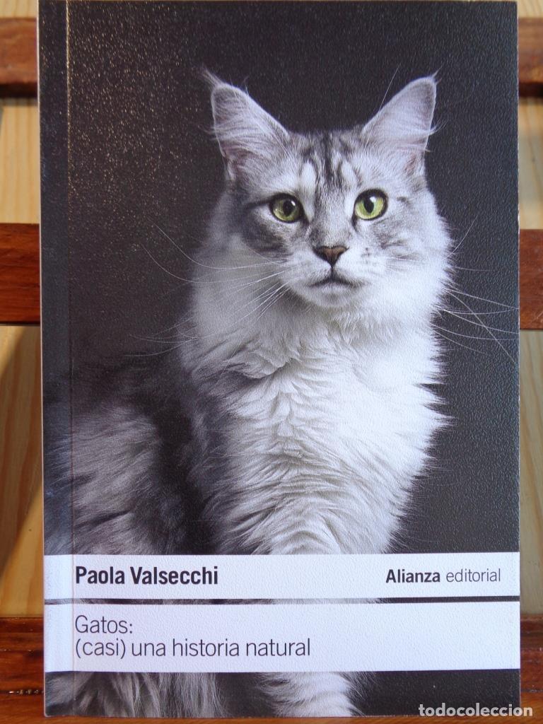 Libros: GATOS: (Casi) una historia natural. - PAOLA VALSECCHI
