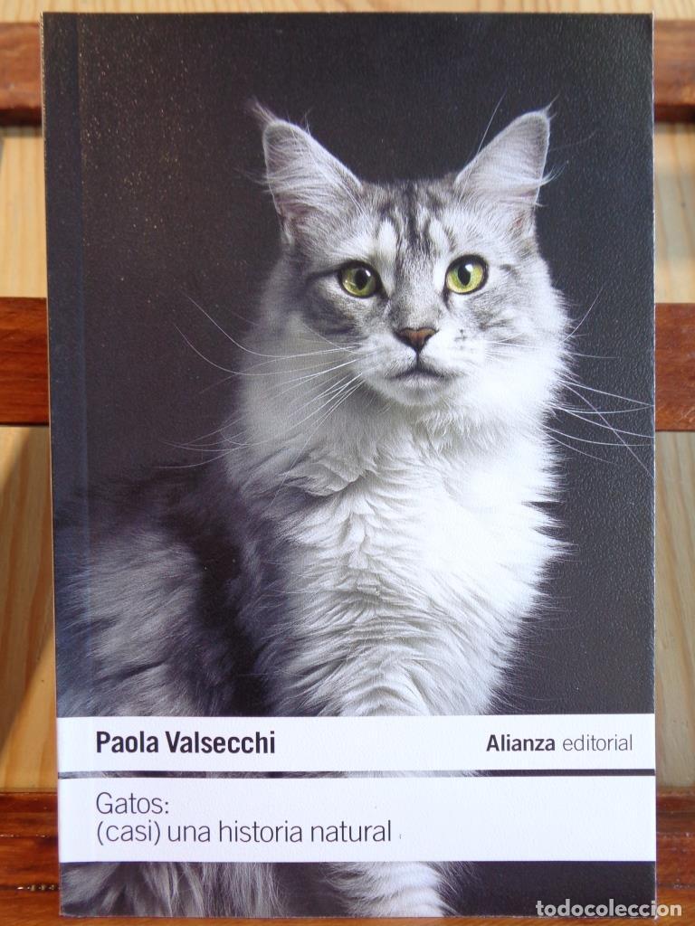 Libros: GATOS: (Casi) una historia natural. - PAOLA VALSECCHI