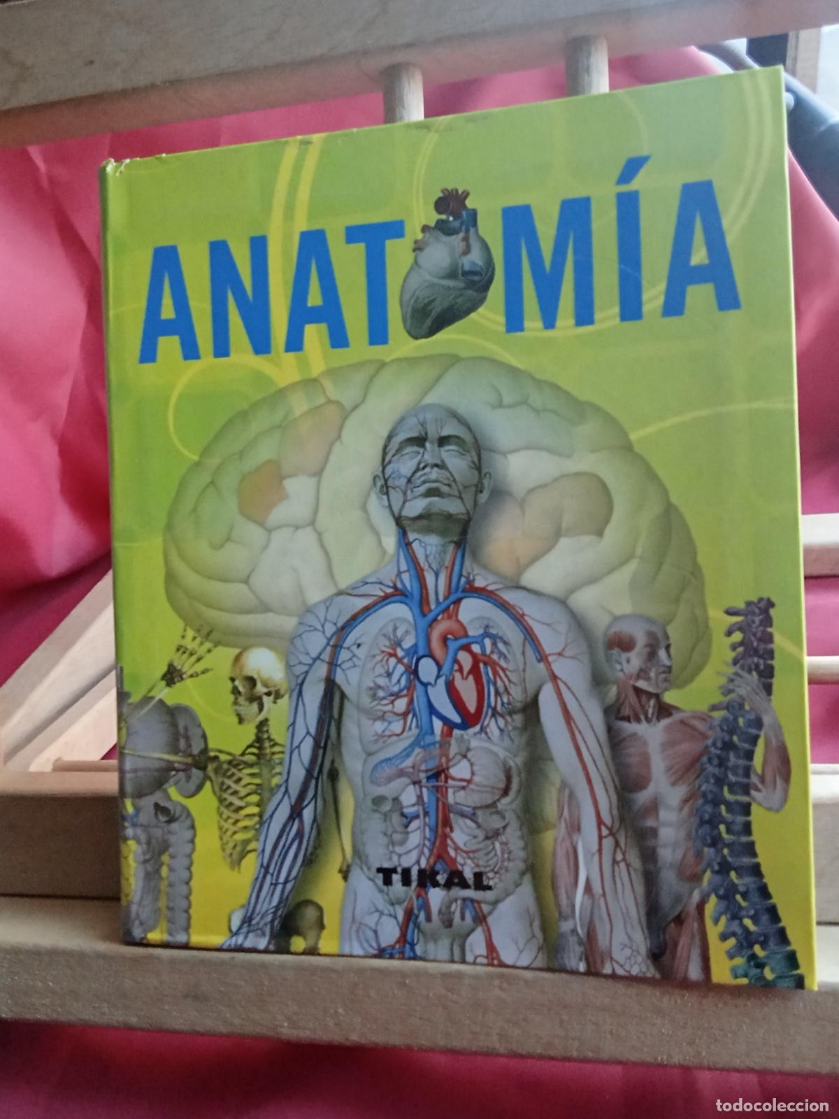 Libros: Anatom&iacute;a. L.3116-1430 - Foto 1