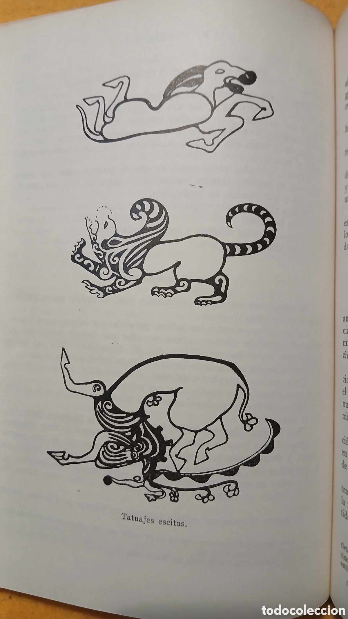 Libros: La magia, Maurice Bouisson - Foto 10