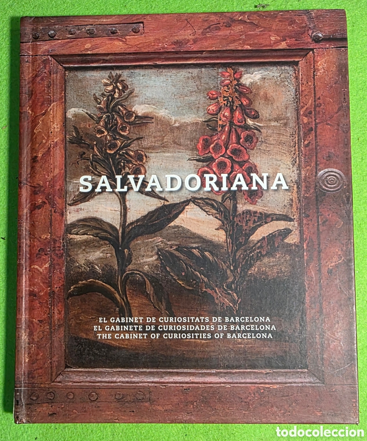 Libros: Salvadoriana. El gabinet de curiositats de barcelona.