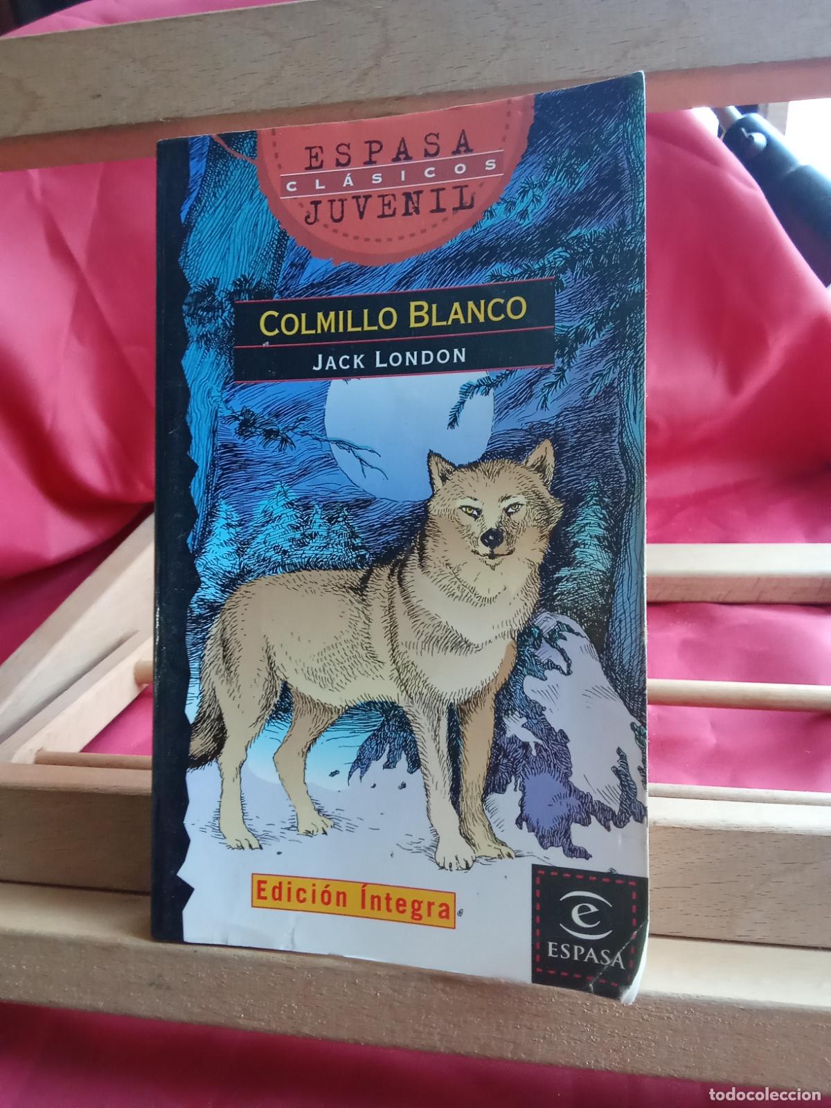 Libros: Colmillo Blanco Jack London L.16184-2049 - Foto 1