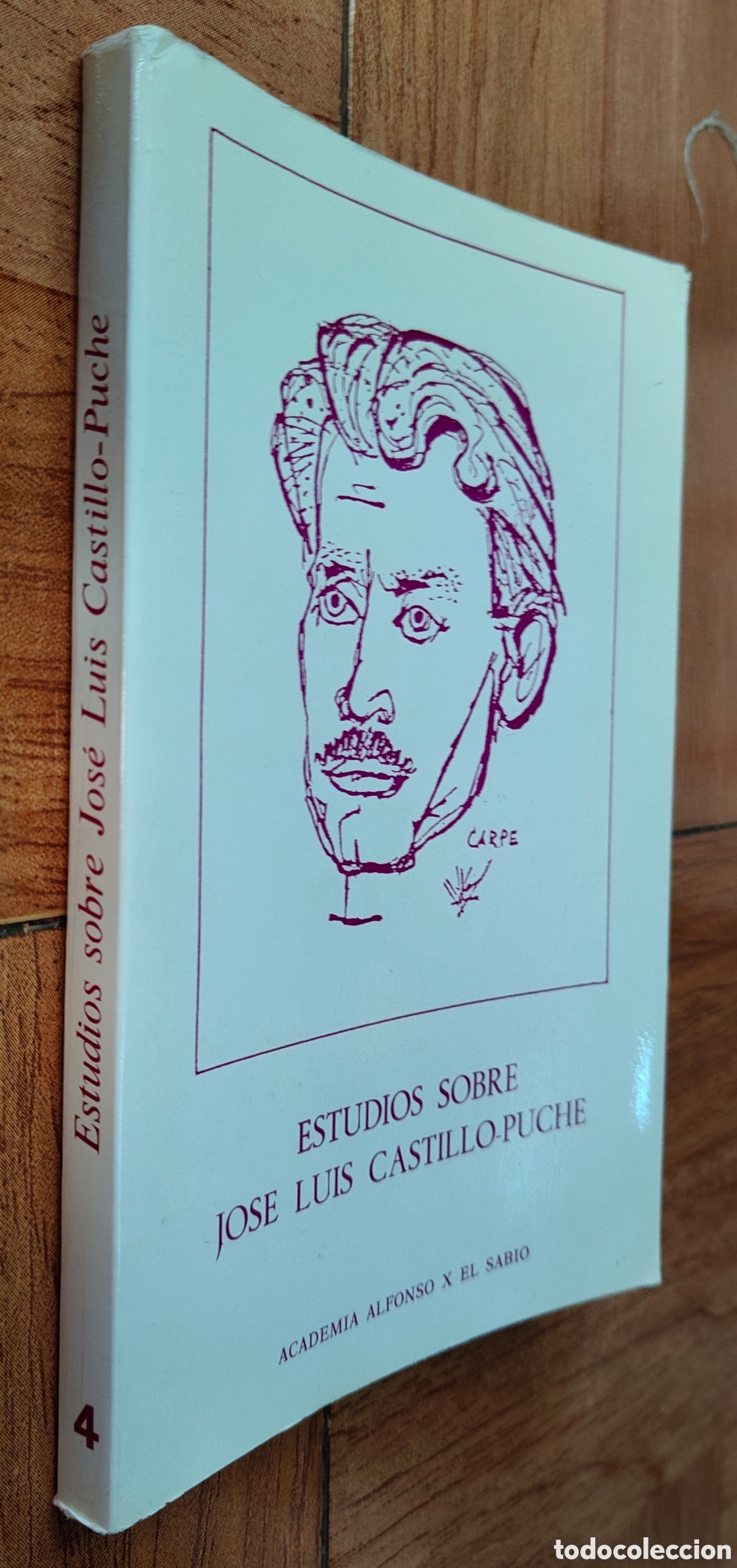 Libros: Estudios sobre Jos&eacute; Luis Castillo-Puche - VV. AA. - Foto 1