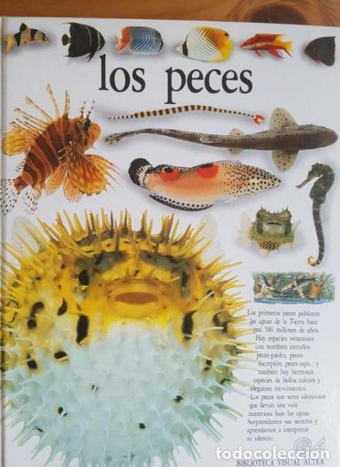 B&uuml;cher: Los peces (Eyewitness Series in Spanish) - Steve Parker
