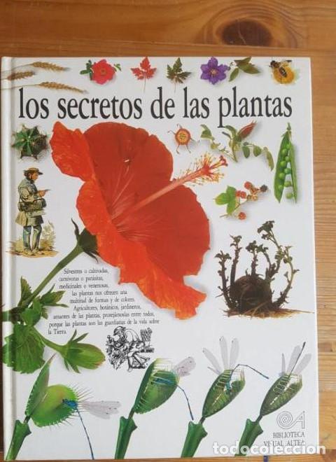 Livros em segunda m&atilde;o: Los secretos de las plantas (Eyewitness Series in Spanish) - David Burnie
