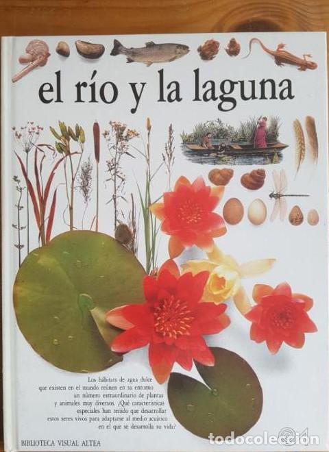 B&uuml;cher: Rio y la laguna, el (Eyewitness Series in Spanish) - Steve Parker