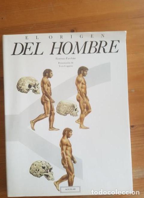 Libros: Origen del hombre - Fiorenzo Facchini - Foto 1