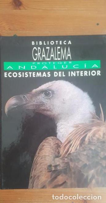 Libros: Ecosistemas del interior. proteger andaluc&iacute;a.grazalema. 1992 90pp -