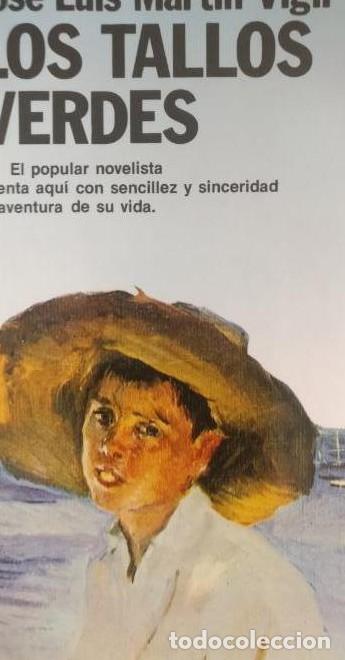 B&uuml;cher: Tallos verdes, los - Jose Luis Mart&iacute;n Vigil