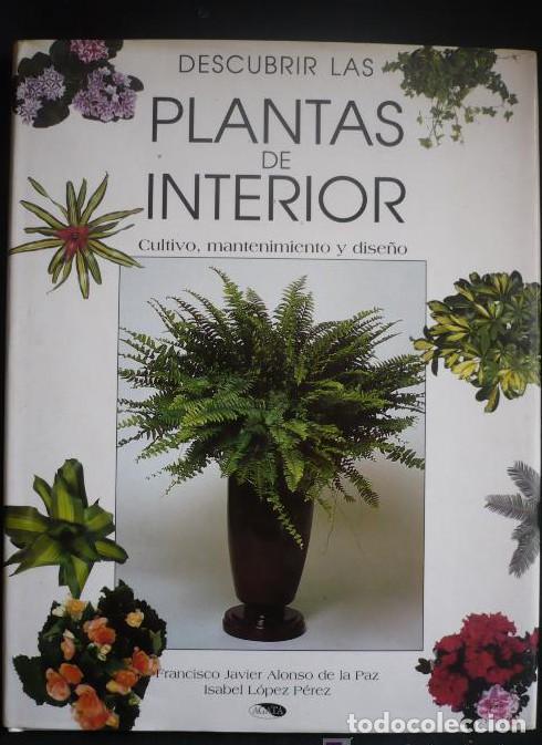 B&uuml;cher: PLANTAS DE INTERIOR, FAC. JAVIER ALONSO DE LA PAZ ISABEL LOPEZ PEREZ ED. AGATA 1997 95 pag -