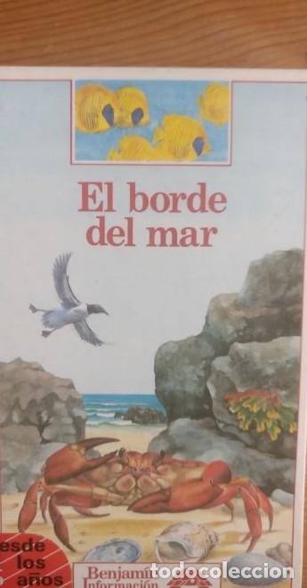 Livres: Borde del mar, el - Christine Lazier