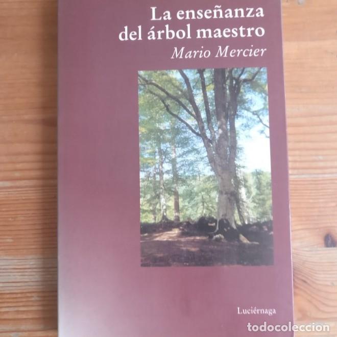 Libros: La ense&ntilde;anza del &aacute;rbol maestro (TESTIMONIOS Y VIVENCIAS) - Mario Mercier