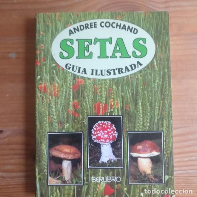 B&uuml;cher: Setas: gu&iacute;a ilustrada Gim&eacute;nez Sales, Miguel Publicado por Ultramar. (1997) 126pp -