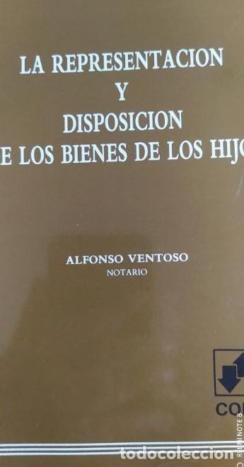 Libros: La representaci&oacute;n y disposici&oacute;n de los bienes de los hijos - Ventoso Escribano, Alfonso COLEX 1989 -