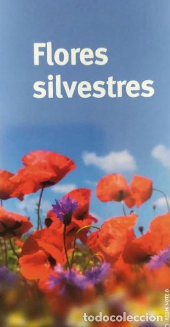 Libros: Flores silvestres Varios Publicado por blume 2003 190pp -