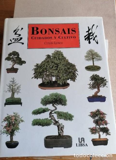 Livres: Bonsais - cuidados y cultivo - Colin Lewis