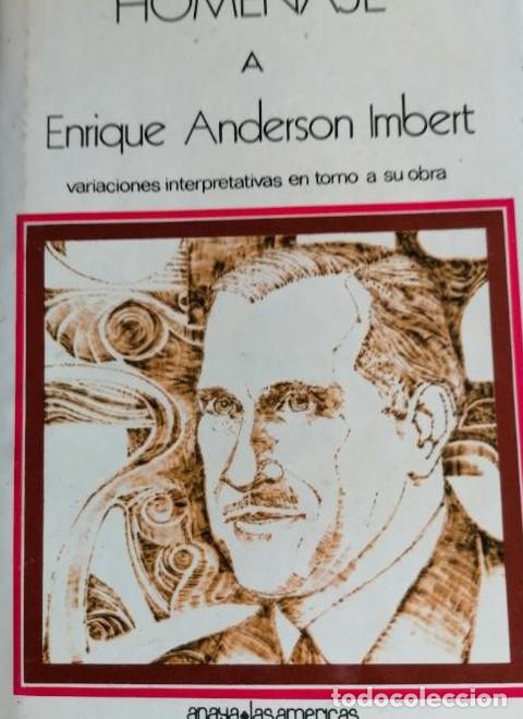 B&uuml;cher: Homenaje a Enrique Anderson Imbert. Variaciones interpretativas en torno a su obra - Helmy F. (Ed.).