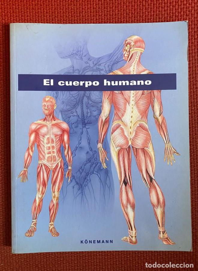 Libros: El Cuerpo Humano - VV. AA.