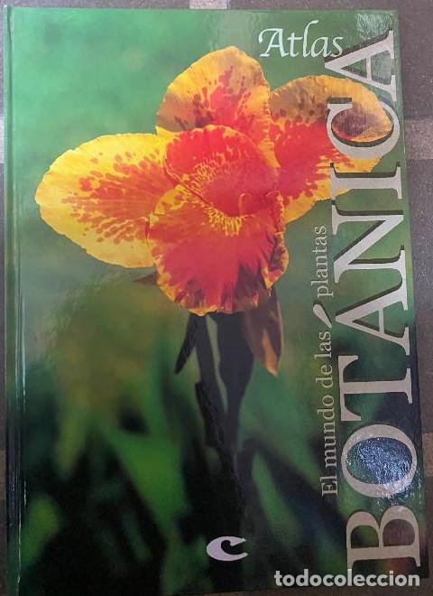 Livres: ATLAS DE BOT&Aacute;NICA, EL MUNDO DE LAS PLANTAS. VVAA. 2005, CULTURAL. -