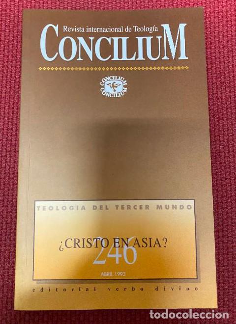 Libros: REVISTA TEOLOG&Iacute;A CONCILIUM. 246. &iquest;CRISTO EN ASIA? ABRIL, 1993. EDITORIAL VERBO DIVINO. -