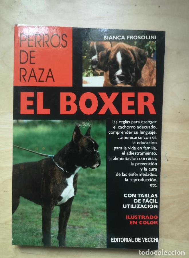 Libros: Boxer, el (Perros De Raza (de Vecchi)) - Bianca Frosolini - Foto 1