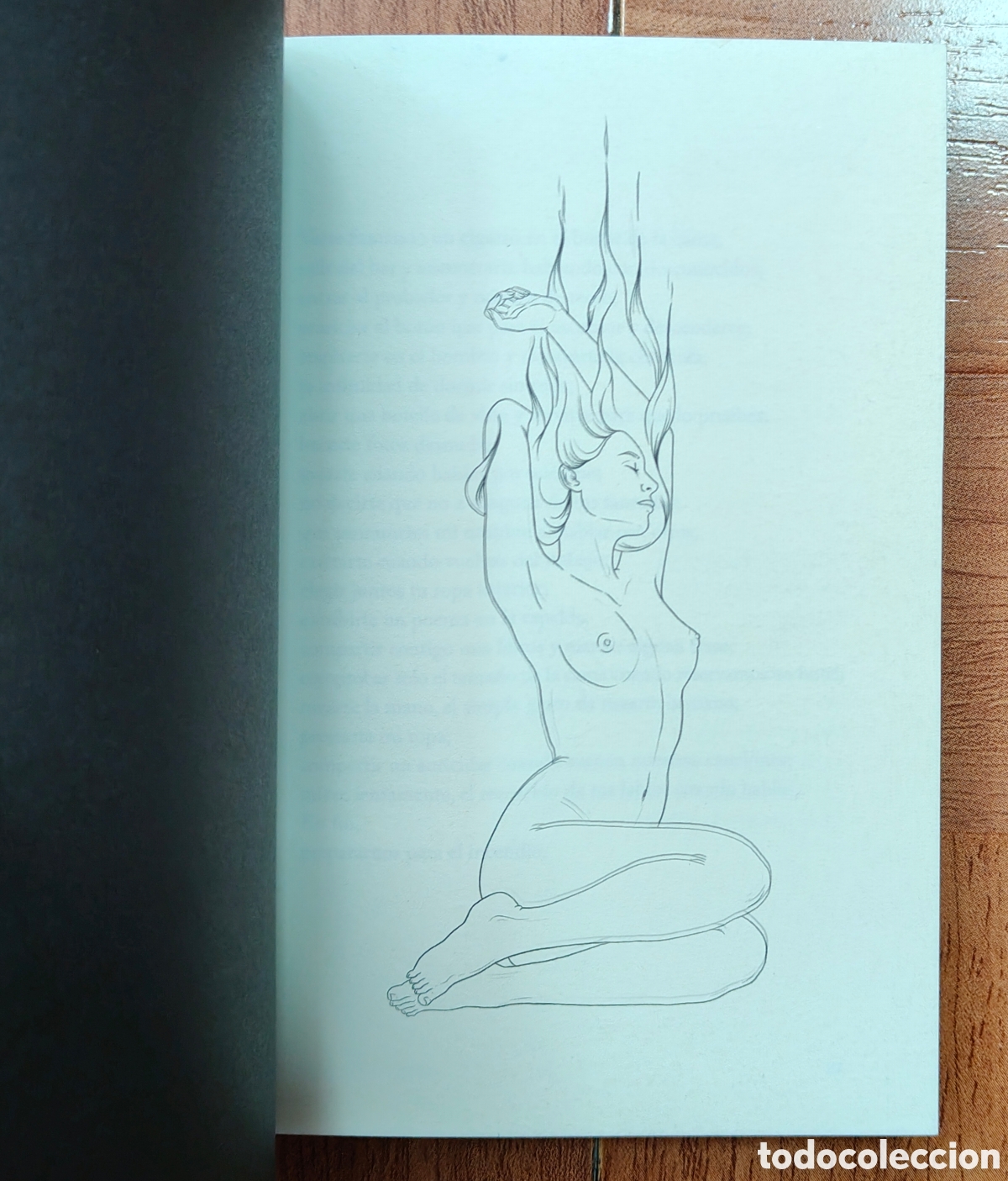 Libros: La Piel en los Labios - Miguel Gane - Foto 4